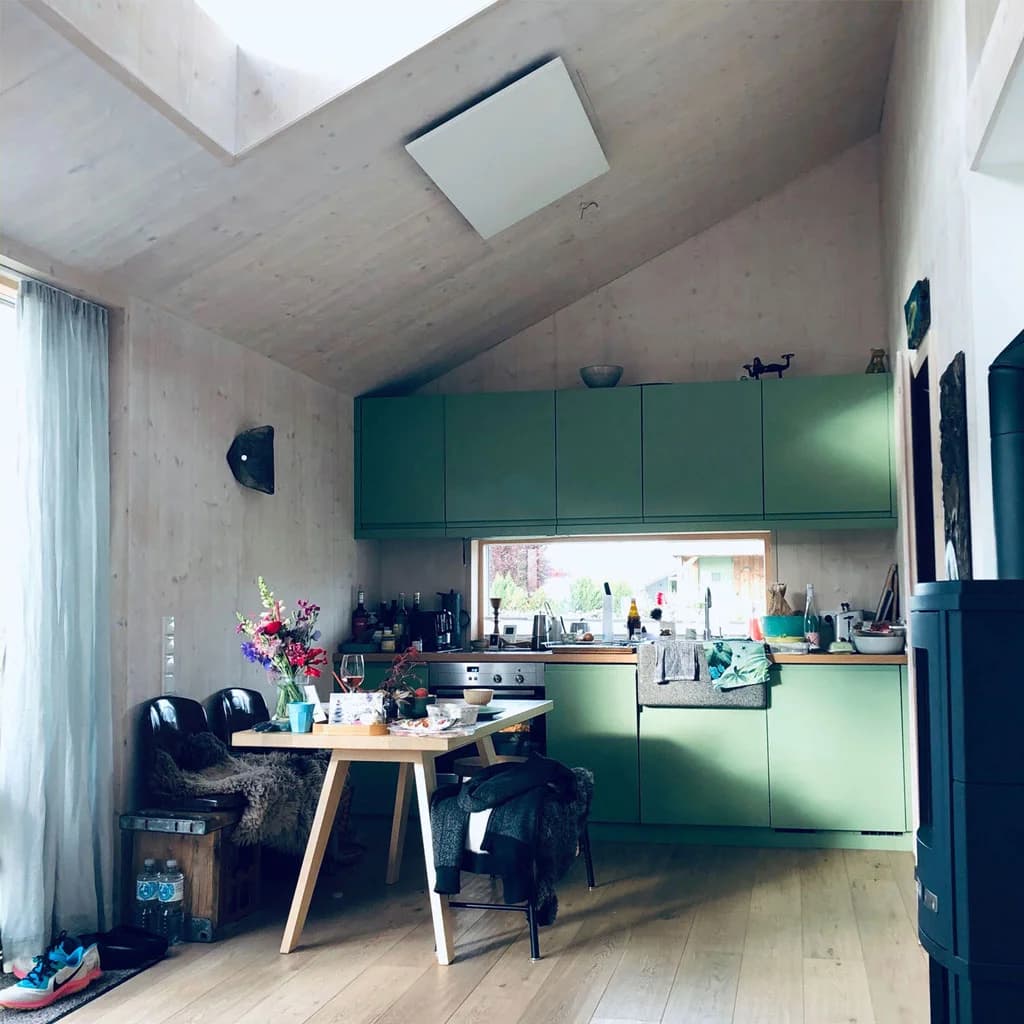 View from the garden